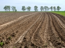 Növekszik a talaj nedvességtartalma
