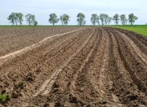 A talajmegújítás közös érdek