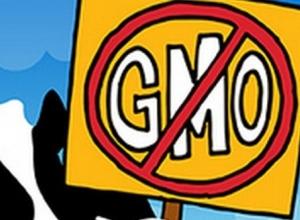 GMO-mentes mezőgazdaság épül